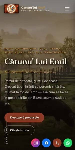 Site gastronomie locală pe telefon