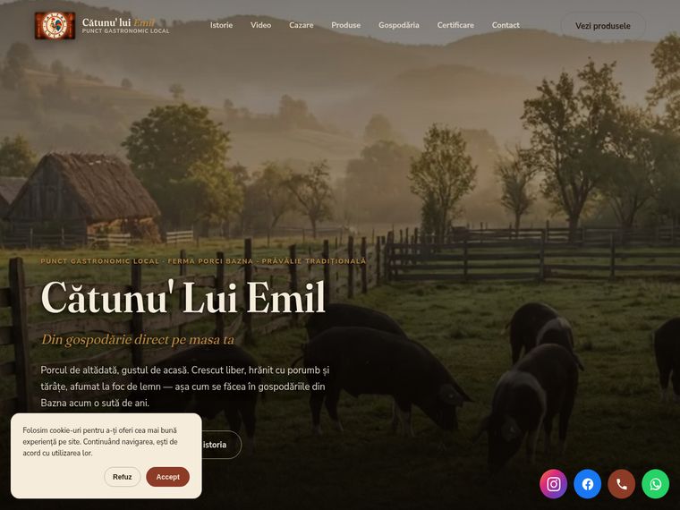 Site Cătunu' Lui Emil